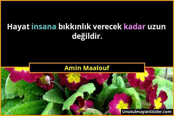 Amin Maalouf - Hayat insana bıkkınlık verecek kadar uzun değildir....