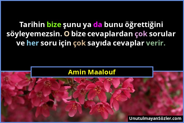 Amin Maalouf - Tarihin bize şunu ya da bunu öğrettiğini söyleyemezsin. O bize cevaplardan çok sorular ve her soru için çok sayıda cevaplar verir....