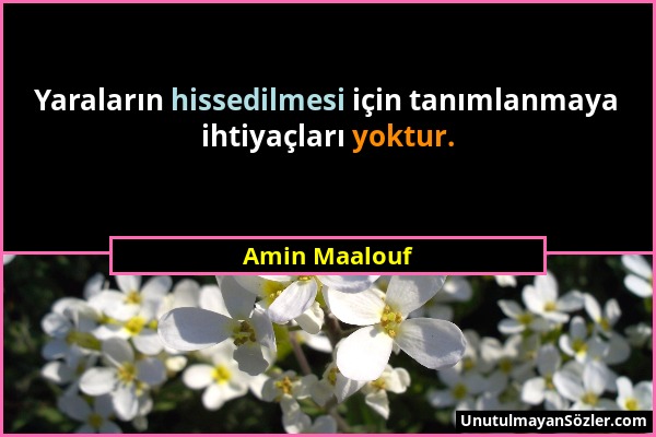 Amin Maalouf - Yaraların hissedilmesi için tanımlanmaya ihtiyaçları yoktur....