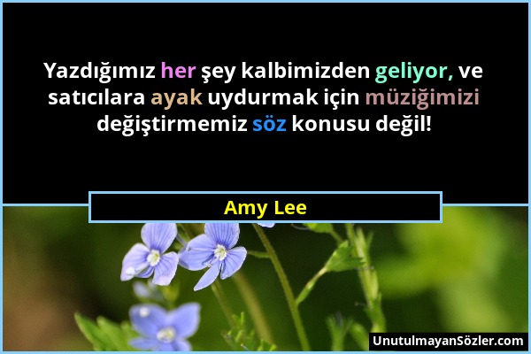 Amy Lee - Yazdığımız her şey kalbimizden geliyor, ve satıcılara ayak uydurmak için müziğimizi değiştirmemiz söz konusu değil!...