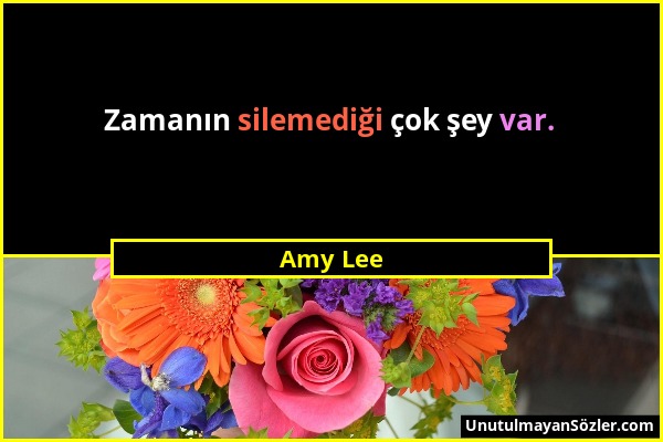 Amy Lee - Zamanın silemediği çok şey var....