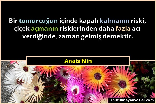 Anais Nin - Bir tomurcuğun içinde kapalı kalmanın riski, çiçek açmanın risklerinden daha fazla acı verdiğinde, zaman gelmiş demektir....