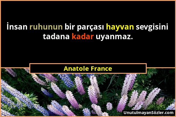 Anatole France - İnsan ruhunun bir parçası hayvan sevgisini tadana kadar uyanmaz....