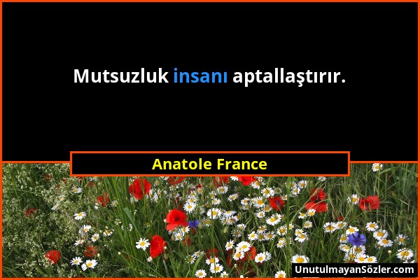 Anatole France - Mutsuzluk insanı aptallaştırır....