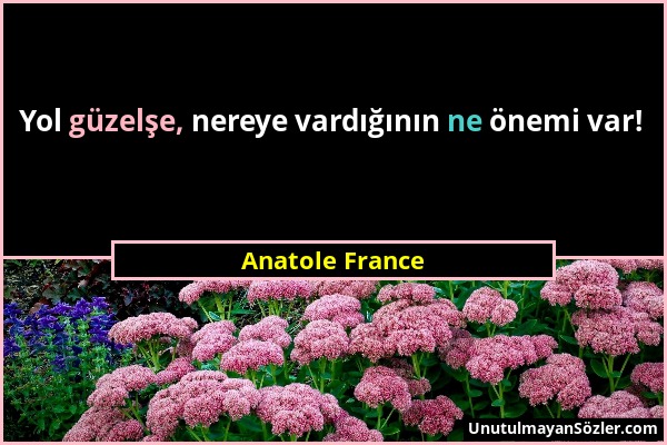 Anatole France - Yol güzelşe, nereye vardığının ne önemi var!...