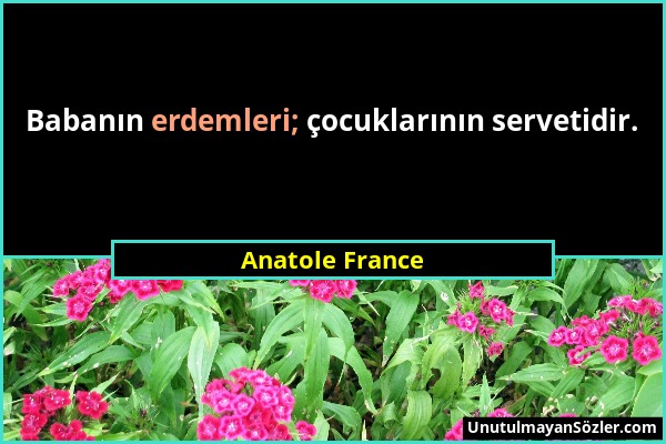 Anatole France - Babanın erdemleri; çocuklarının servetidir....