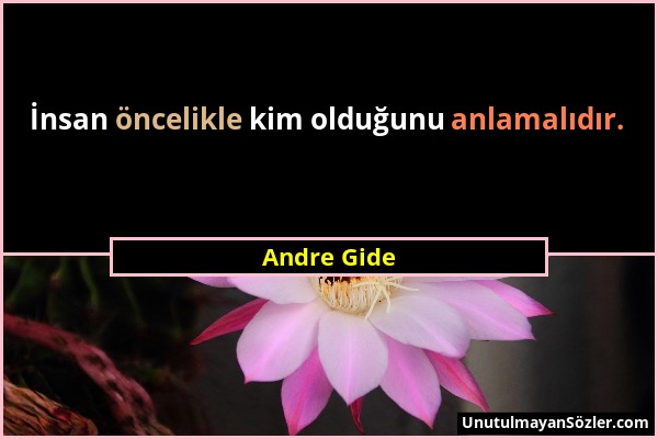 Andre Gide - İnsan öncelikle kim olduğunu anlamalıdır....