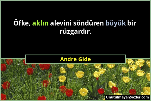 Andre Gide - Öfke, aklın alevini söndüren büyük bir rüzgardır....