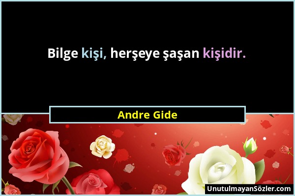 Andre Gide - Bilge kişi, herşeye şaşan kişidir....