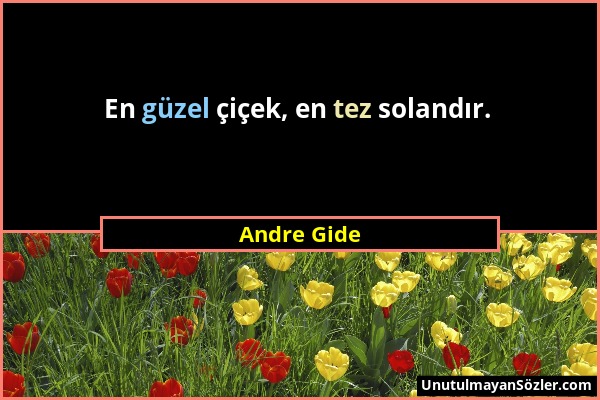 Andre Gide - En güzel çiçek, en tez solandır....