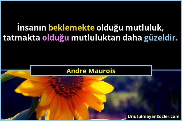 Andre Maurois - İnsanın beklemekte olduğu mutluluk, tatmakta olduğu mutluluktan daha güzeldir....