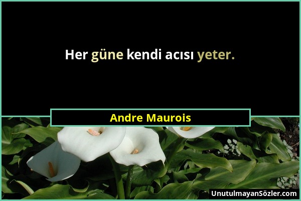 Andre Maurois - Her güne kendi acısı yeter....