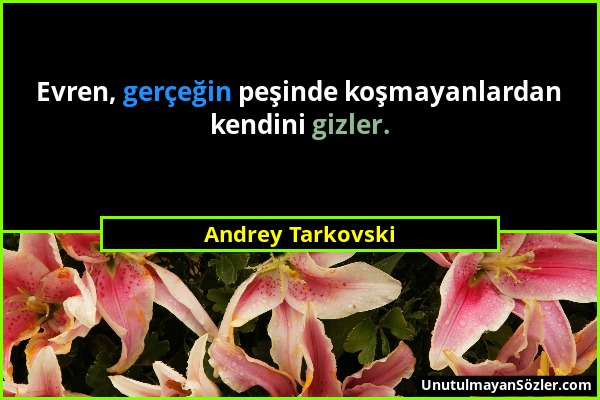 Andrey Tarkovski - Evren, gerçeğin peşinde koşmayanlardan kendini gizler....