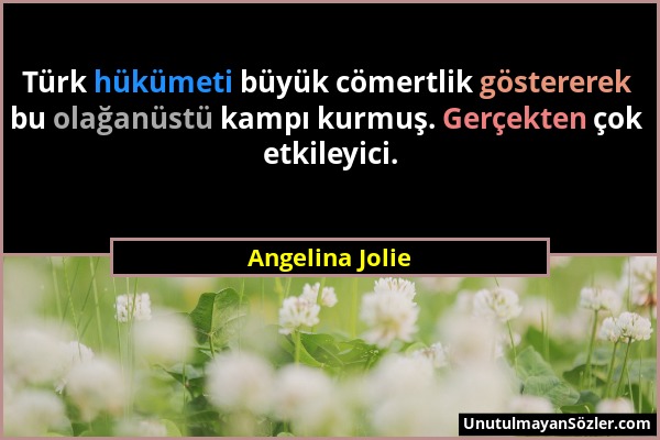 Angelina Jolie - Türk hükümeti büyük cömertlik göstererek bu olağanüstü kampı kurmuş. Gerçekten çok etkileyici....