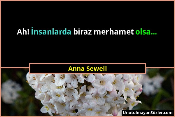 Anna Sewell - Ah! İnsanlarda biraz merhamet olsa......