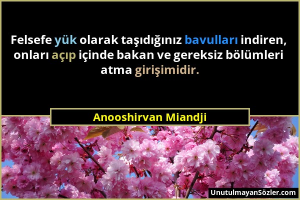 Anooshirvan Miandji - Felsefe yük olarak taşıdığınız bavulları indiren, onları açıp içinde bakan ve gereksiz bölümleri atma girişimidir....