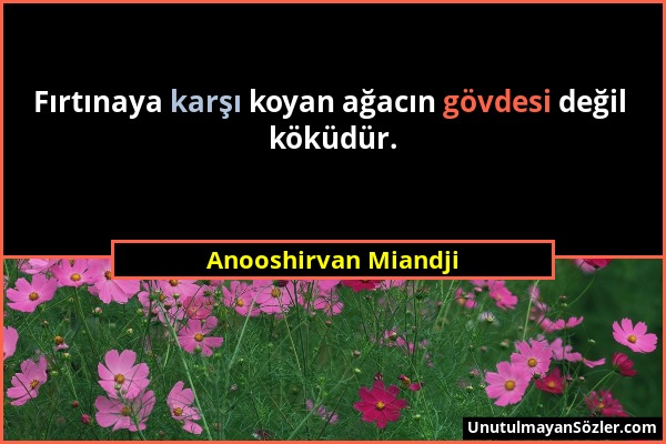 Anooshirvan Miandji - Fırtınaya karşı koyan ağacın gövdesi değil köküdür....