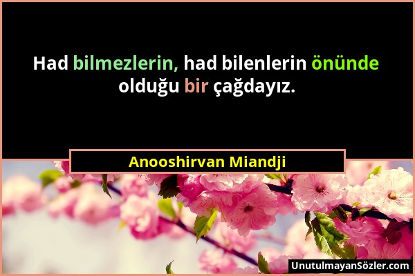 Anooshirvan Miandji - Had bilmezlerin, had bilenlerin önünde olduğu bir çağdayız....