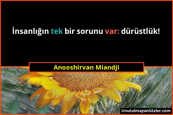 Anooshirvan Miandji - İnsanlığın tek bir sorunu var: dürüstlük!...