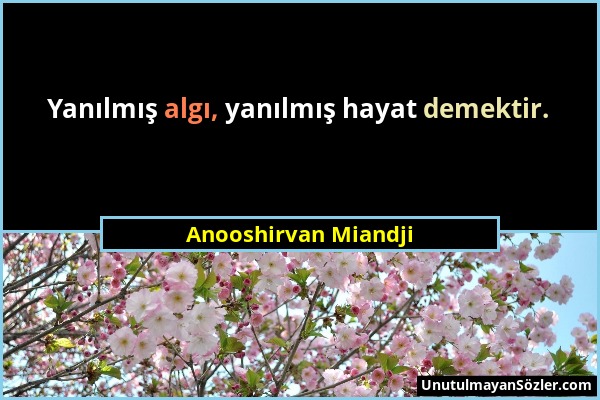 Anooshirvan Miandji - Yanılmış algı, yanılmış hayat demektir....