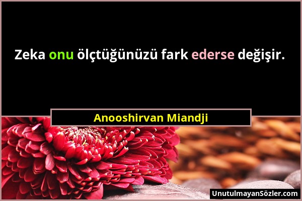 Anooshirvan Miandji - Zeka onu ölçtüğünüzü fark ederse değişir....