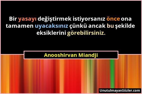 Anooshirvan Miandji - Bir yasayı değiştirmek istiyorsanız önce ona tamamen uyacaksınız çünkü ancak bu şekilde eksiklerini görebilirsiniz....