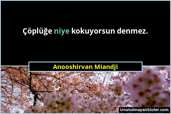 Anooshirvan Miandji - Çöplüğe niye kokuyorsun denmez....