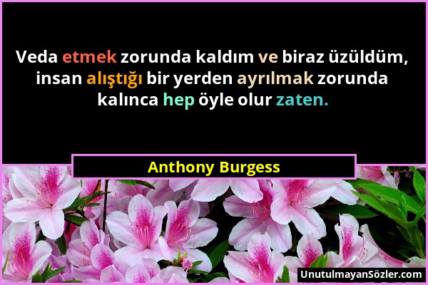 Anthony Burgess - Veda etmek zorunda kaldım ve biraz üzüldüm, insan alıştığı bir yerden ayrılmak zorunda kalınca hep öyle olur zaten....