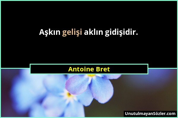 Antoine Bret - Aşkın gelişi aklın gidişidir....