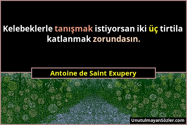 Antoine de Saint Exupery - Kelebeklerle tanışmak istiyorsan iki üç tirtila katlanmak zorundasın....