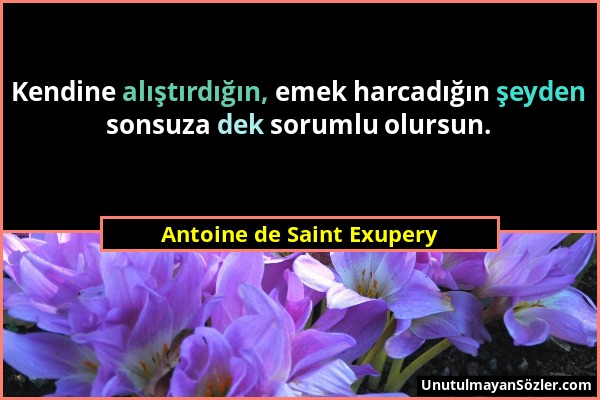 Antoine de Saint Exupery - Kendine alıştırdığın, emek harcadığın şeyden sonsuza dek sorumlu olursun....