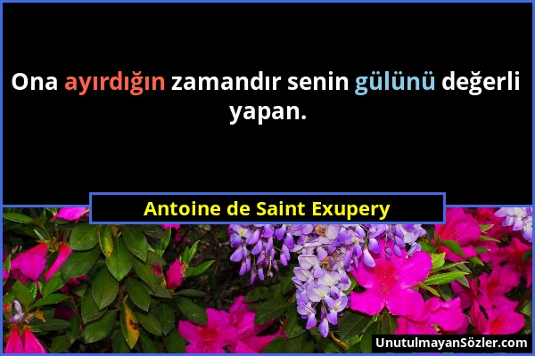 Antoine de Saint Exupery - Ona ayırdığın zamandır senin gülünü değerli yapan....