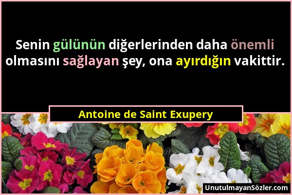 Antoine de Saint Exupery - Senin gülünün diğerlerinden daha önemli olmasını sağlayan şey, ona ayırdığın vakittir....