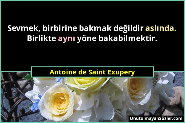 Antoine de Saint Exupery - Sevmek, birbirine bakmak değildir aslında. Birlikte aynı yöne bakabilmektir....