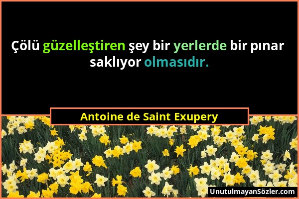 Antoine de Saint Exupery - Çölü güzelleştiren şey bir yerlerde bir pınar saklıyor olmasıdır....