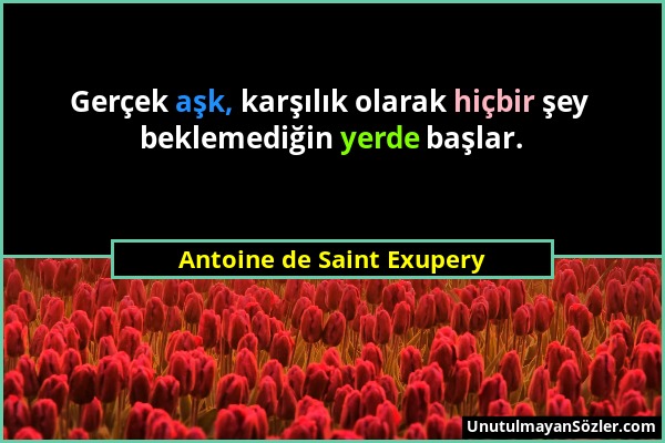 Antoine de Saint Exupery - Gerçek aşk, karşılık olarak hiçbir şey beklemediğin yerde başlar....