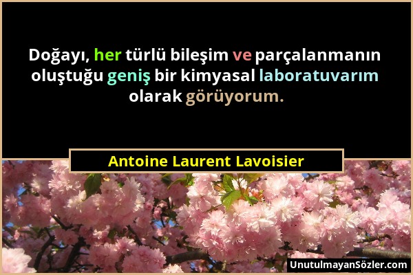 Antoine Laurent Lavoisier - Doğayı, her türlü bileşim ve parçalanmanın oluştuğu geniş bir kimyasal laboratuvarım olarak görüyorum....