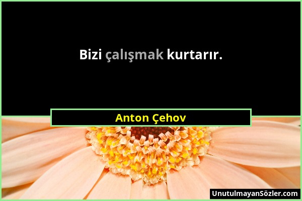 Anton Çehov - Bizi çalışmak kurtarır....