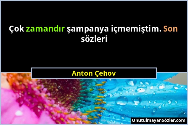 Anton Çehov - Çok zamandır şampanya içmemiştim. Son sözleri...