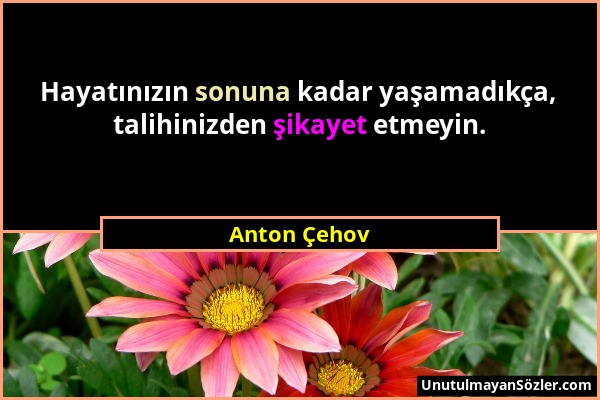 Anton Çehov - Hayatınızın sonuna kadar yaşamadıkça, talihinizden şikayet etmeyin....