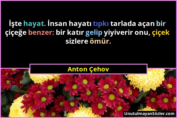 Anton Çehov - İşte hayat. İnsan hayatı tıpkı tarlada açan bir çiçeğe benzer: bir katır gelip yiyiverir onu, çiçek sizlere ömür....