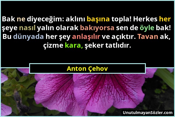 Anton Çehov - Bak ne diyeceğim: aklını başına topla! Herkes her şeye nasıl yalın olarak bakıyorsa sen de öyle bak! Bu dünyada her şey anlaşılır ve açı...