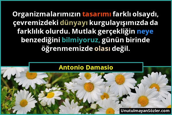 Antonio Damasio - Organizmalarımızın tasarımı farklı olsaydı, çevremizdeki dünyayı kurgulayışımızda da farklılık olurdu. Mutlak gerçekliğin neye benze...