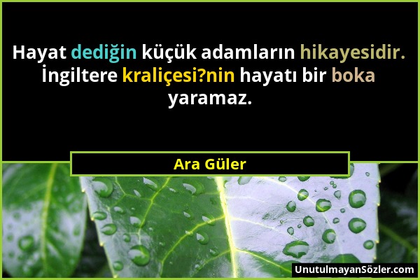 Ara Güler - Hayat dediğin küçük adamların hikayesidir. İngiltere kraliçesi?nin hayatı bir boka yaramaz....