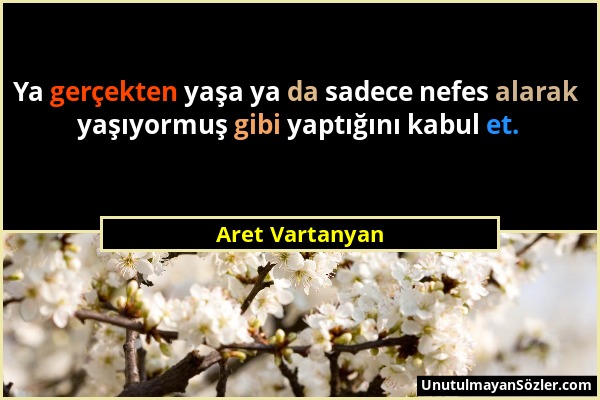 Aret Vartanyan - Ya gerçekten yaşa ya da sadece nefes alarak yaşıyormuş gibi yaptığını kabul et....