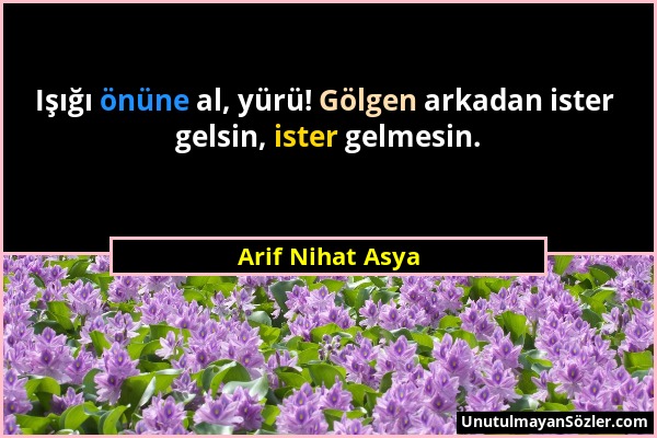 Arif Nihat Asya - Işığı önüne al, yürü! Gölgen arkadan ister gelsin, ister gelmesin....