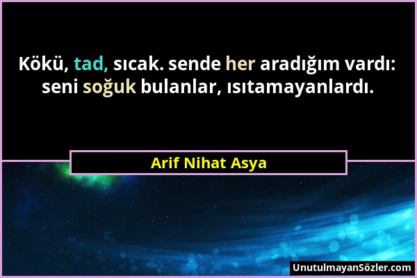 Arif Nihat Asya - Kökü, tad, sıcak. sende her aradığım vardı: seni soğuk bulanlar, ısıtamayanlardı....