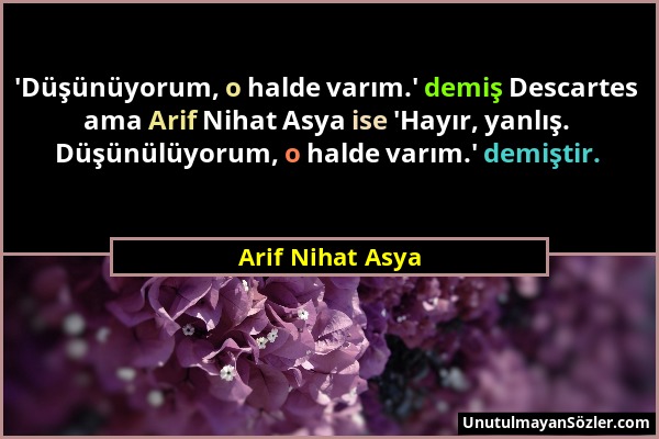 Arif Nihat Asya - 'Düşünüyorum, o halde varım.' demiş Descartes ama Arif Nihat Asya ise 'Hayır, yanlış. Düşünülüyorum, o halde varım.' demiştir....