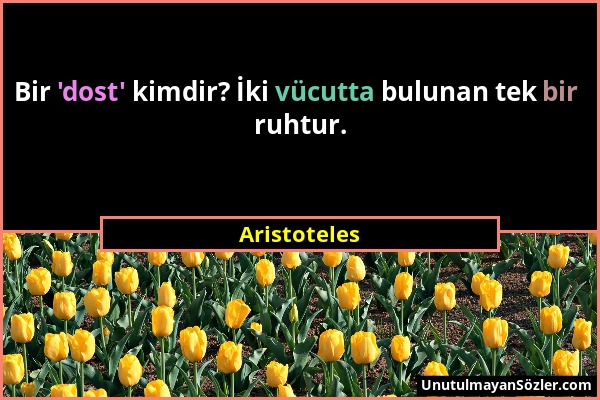 Aristoteles - Bir 'dost' kimdir? İki vücutta bulunan tek bir ruhtur....