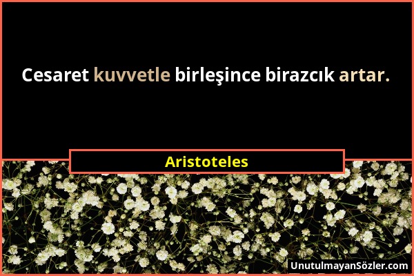 Aristoteles - Cesaret kuvvetle birleşince birazcık artar....